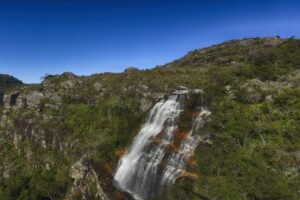 Mata Atlântica Paraná